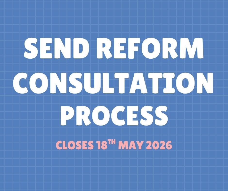 SEND Consultation Process